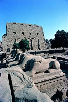 Images Dated 3rd November 2011: Luxor. The entrance of the immense area of ??the temple of Karnak