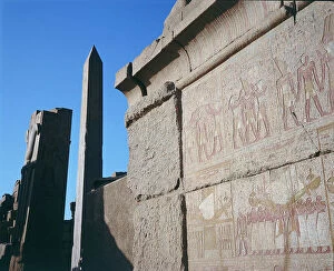 Images Dated 10th November 2011: Luxor. Karnak. Hieroglyphics and frescoes on the walls of various temples