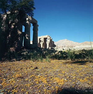 Images Dated 10th November 2011: Luxor. The temple of Ramses II (twelfth century. BC)
