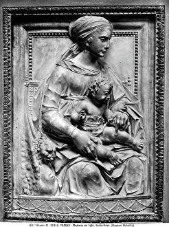 Images Dated 30th April 2012: The Madonna and Child, in the Pinacoteca del Museo Civico, Padua