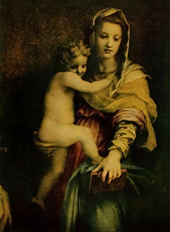 Images Dated 23rd February 2011: Madonna of the Harpies, oil on panel, Andrea del Sarto, Andrea d'Agnolo known as (1486-1530)
