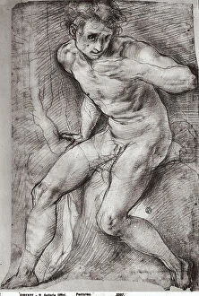 Images Dated 7th March 2008: Male nude with his hand to his mouth. Drawing by Pontormo, in the Gabinetto dei Disegni e delle
