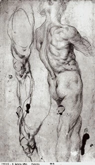 Images Dated 7th March 2008: Male nude, back view. Drawing by Pontormo, in the Gabinetto dei Disegni e delle Stampe