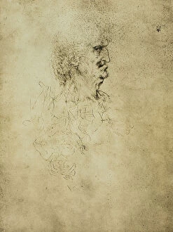 Images Dated 16th March 2011: Male profile, drawing by Leonardo da Vinci. British Museum, London