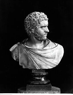 Images Dated 18th November 2011: Marble bust of the Emporer Antonio Pio: work of the Uffizi Gallery of Florence