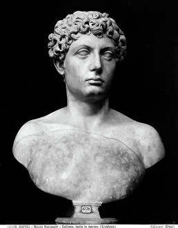 Images Dated 18th November 2011: Marble bust with the portrait of the emperor Publius Licinius Ignatius Gallienus