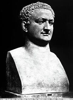 Images Dated 18th November 2011: Marble bust-portrait of Titus, located at the National Archaeological Museum in Naples