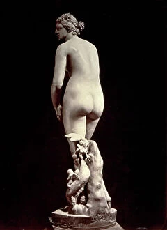 Images Dated 23rd April 2012: Marble statue known as the Medici Venus, in the Uffizi Gallery in Florence