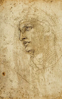 Images Dated 8th March 2011: Masculine face; drawing by Michelangelo. British Museum, London