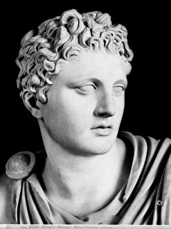 Images Dated 23rd February 2011: Meleagris (detail), Roman copy of an original by Scopas: work preserved at the Vatican Museums