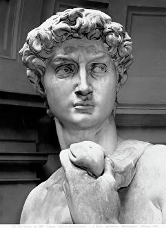 Images Dated 5th June 2008: Michelangelo's David: close-up of the bust