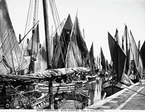 Images Dated 10th March 2010: Moored boats in the port of Cesenatico