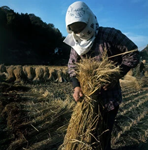 Images Dated 12th June 2009: Nagano, agricultural area: village of Itano-Mine, farmers at work