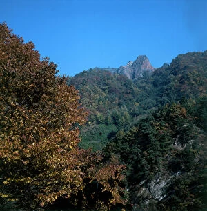 Images Dated 11th June 2009: Nagano, hills: forests in autumn