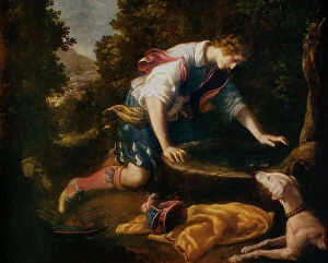 Images Dated 3rd March 2011: Narcissus at the pool; painting by Francesco Curradi. Galleria Palatina, Palazzo Pitti, Florence