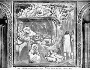 Images Dated 30th October 2008: The Nativity, fresco by Giotto, Scrovegni Chapel, Padua