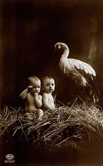 Images Dated 28th April 2011: Newborns with stork