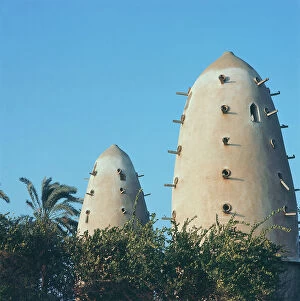Images Dated 13th October 2011: Nile Delta, in a village typical pigeon
