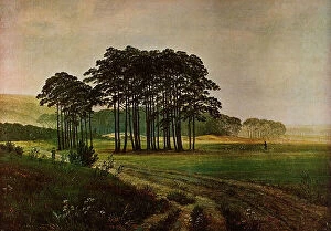 Images Dated 9th March 2011: Noon, oil on canvas, Caspar David Friedrich (1774-1840), Charlottenburg Palace, Berlin