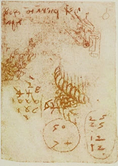 Images Dated 13th October 2009: Numbers, mathematical calculations and various sketches, page from the Codex Forster II, c.10r
