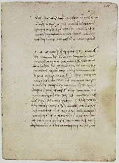 Physikalische Beobachtungen und Reflexionen; handschriftlicher Eintrag im Codice Forster II, Blatt 121r