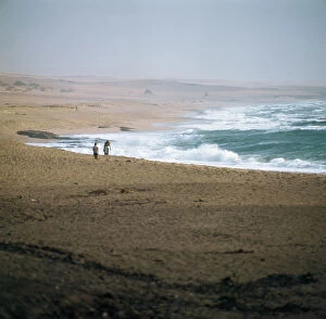 Images Dated 13th June 2008: Ocean waves beating against the coast south of Brava. Somalia
