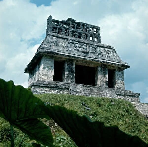 Images Dated 18th April 2011: Palenque: only a few monuments are were released from the forest that had them hidden