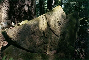 Images Dated 27th May 2011: Palenque: palaces, temples, pyramids with their sculptures and their bands still hidden in