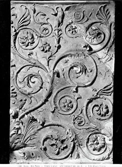Images Dated 24th January 2008: Panel of Ara Pacis Augustae in Rome with decorative plants shooting up and spiraling
