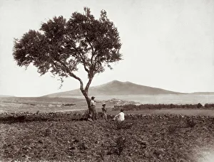 Panorama von Augusta