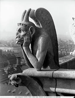 Images Dated 22nd March 2011: Paris, Notre-Dame, Monstres du couronnement de la balustrade