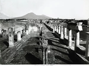 Images Dated 11th April 2005: Partial view of the ruins of the Civil Forum: Archaeological work situated in Pompei