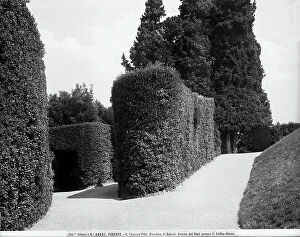 Images Dated 28th April 2009: Pathways in the Boboli Gardens, Florence