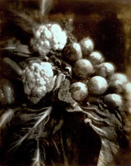 Images Dated 30th November 2009: Pictorialist still life with cabbages, onions and bell peppers
