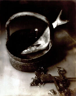 Images Dated 20th March 2009: Pictorialist still life with fish. The view from above shows a medium sized fish in a wooden pail