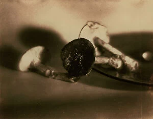Images Dated 3rd December 2010: Pictorialist still life with mushrooms