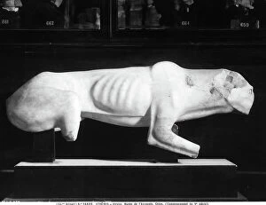 Images Dated 28th May 2008: The picture shows the statue of a dog from the Museum of the Acropolis of Athens