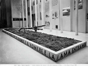 Images Dated 6th May 2011: Plow that reminiscent of the ritual of the founding of Rome to the Augustan Exhibition of