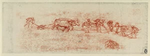 Images Dated 22nd October 2009: Plowing, sanguine drawing on white paper by Leonardo da Vinci