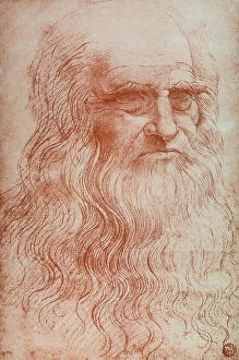 Images Dated 30th November 2010: Portrait of Leonardo da Vinci, copy of Selfportrait of Leonardo da Vinci, sanguigna