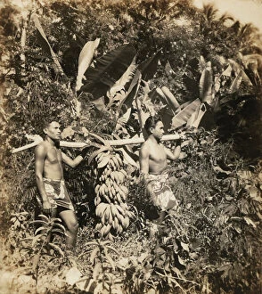 Images Dated 5th April 2011: Portrait of two Tahitian men with a large bunch of bananas