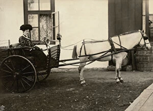 Images Dated 15th April 2010: Portrait of a woman, the wife of a doctor, driving a horse-drawn carriage
