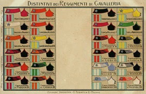 Images Dated 19th October 2011: Postcard 'Badges Cavalry Regiments'