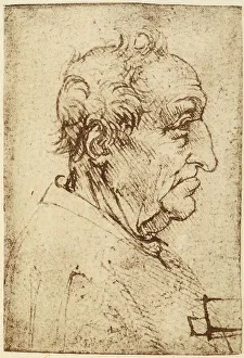 Profilo di hombre anciano, dibujo a lápiz sobre papel blanco amarillento ejecutado por Leonardo da Vinci y conservado en la Biblioteca Ambrosiana de Milán. Reproducción de estampa artística