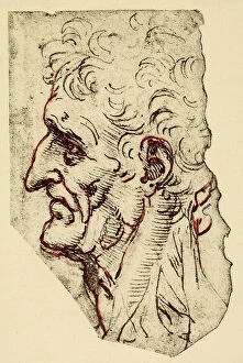 Images Dated 22nd October 2009: Profile of a male caricature, pen drawing partially retraced with a sanguine, on white paper
