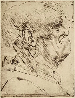 Images Dated 23rd April 2009: Profile of a male caricature, pen drawing on white paper turned yellow by Leonardo da Vinci