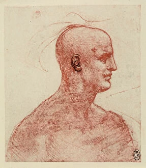 Images Dated 22nd October 2009: Profile of a male portrait, red pencil drawing with ink touches on white paper by Leonardo da Vinci