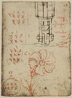Images Dated 23rd April 2009: A punching machine, mathematical calculations and a flower, page from the Codex Forster II, c.54v