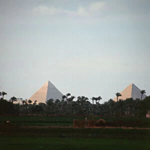 Images Dated 5th December 2011: The pyramids of Giza in the distance, even against the sunset