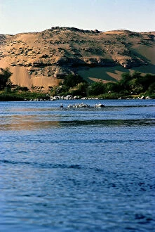 Images Dated 28th September 2011: The red sands of the desert come to the Nile